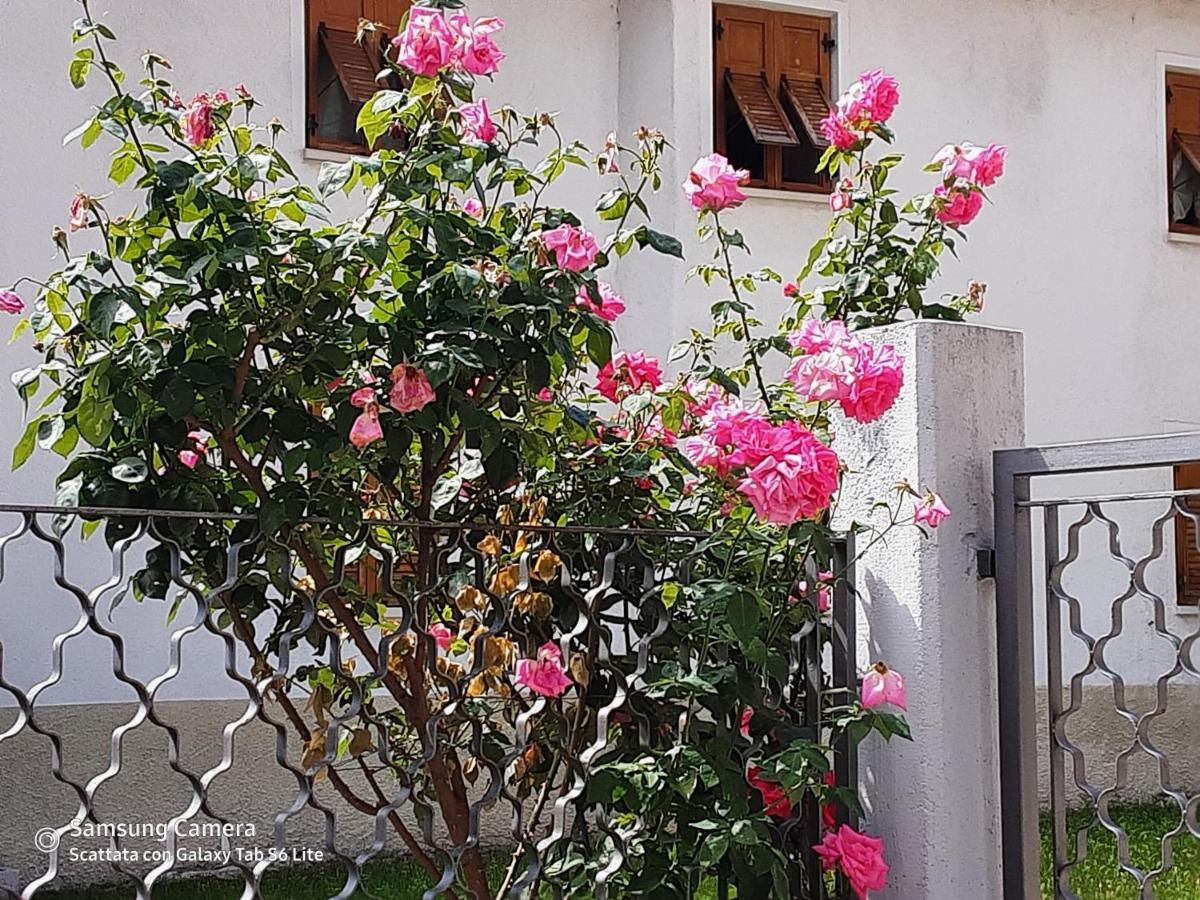 B&B Anna Rovere della Luna Buitenkant foto